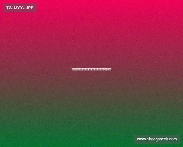 纽卡斯尔联队崛起之路：从英超新贵到欧洲竞争力强劲球队