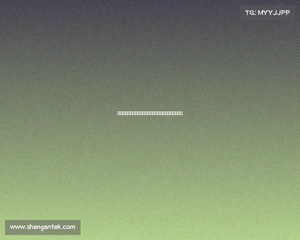 纽卡斯尔联队崛起之路：从英超新贵到欧洲竞争力强劲球队